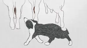 Capture d’écran 2012-10-18 à 15.50.29.png